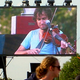 andrewbird